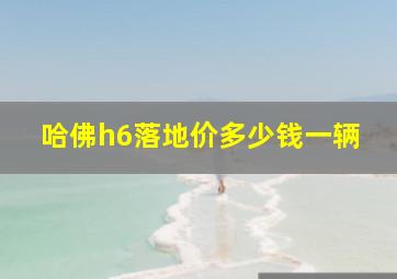 哈佛h6落地价多少钱一辆