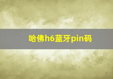 哈佛h6蓝牙pin码