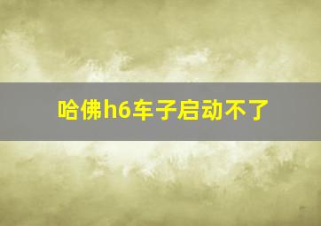 哈佛h6车子启动不了