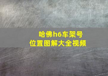 哈佛h6车架号位置图解大全视频