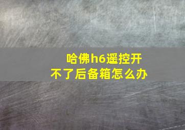 哈佛h6遥控开不了后备箱怎么办