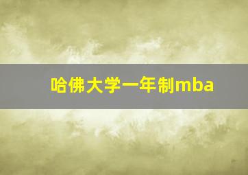 哈佛大学一年制mba