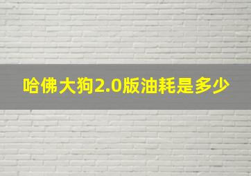 哈佛大狗2.0版油耗是多少