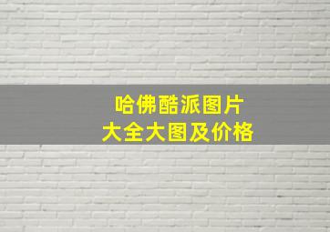 哈佛酷派图片大全大图及价格