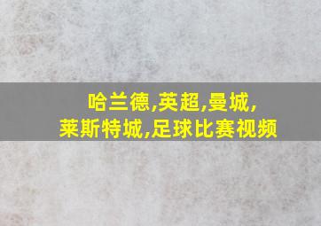 哈兰德,英超,曼城,莱斯特城,足球比赛视频