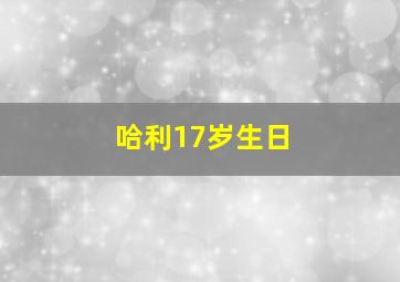 哈利17岁生日