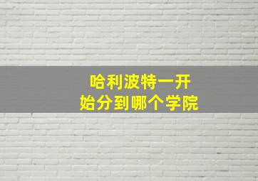 哈利波特一开始分到哪个学院