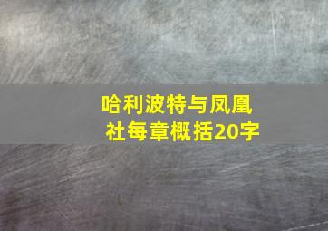 哈利波特与凤凰社每章概括20字