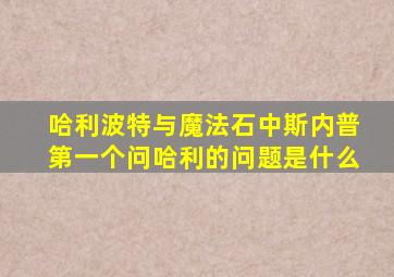 哈利波特与魔法石中斯内普第一个问哈利的问题是什么