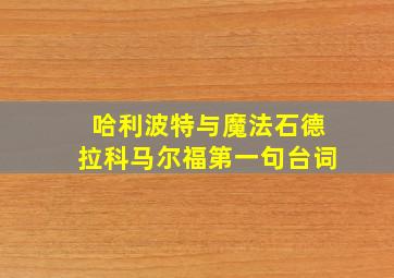 哈利波特与魔法石德拉科马尔福第一句台词