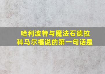 哈利波特与魔法石德拉科马尔福说的第一句话是