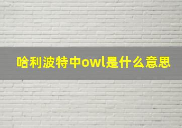 哈利波特中owl是什么意思