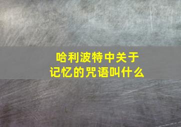 哈利波特中关于记忆的咒语叫什么