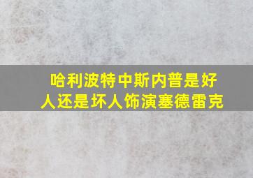 哈利波特中斯内普是好人还是坏人饰演塞德雷克