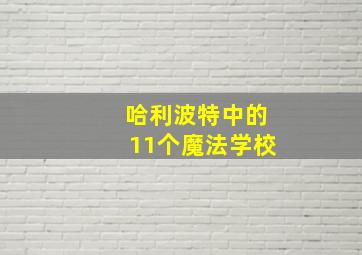 哈利波特中的11个魔法学校