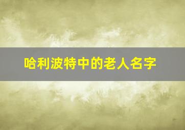 哈利波特中的老人名字