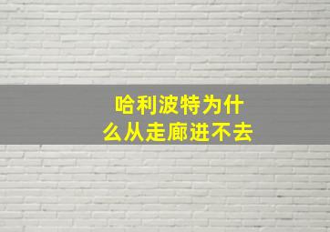 哈利波特为什么从走廊进不去