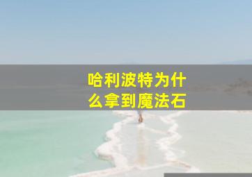 哈利波特为什么拿到魔法石