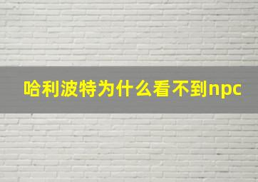 哈利波特为什么看不到npc