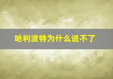 哈利波特为什么进不了