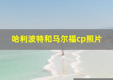 哈利波特和马尔福cp照片