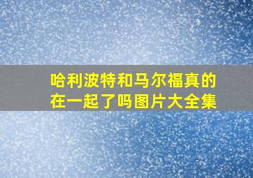 哈利波特和马尔福真的在一起了吗图片大全集