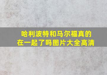 哈利波特和马尔福真的在一起了吗图片大全高清