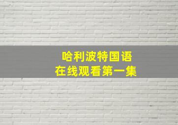 哈利波特国语在线观看第一集