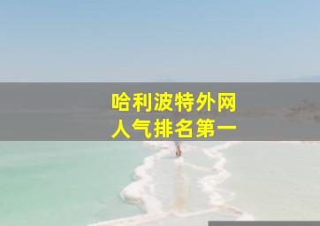 哈利波特外网人气排名第一