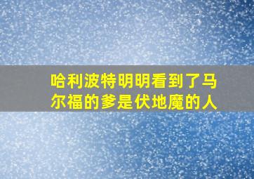 哈利波特明明看到了马尔福的爹是伏地魔的人