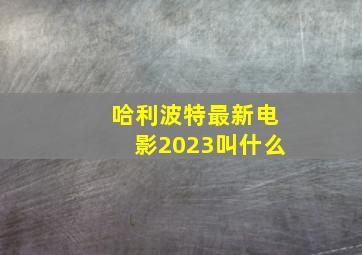 哈利波特最新电影2023叫什么