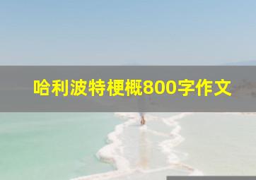 哈利波特梗概800字作文