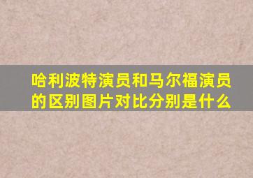 哈利波特演员和马尔福演员的区别图片对比分别是什么