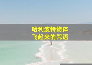 哈利波特物体飞起来的咒语