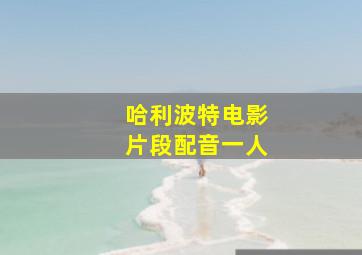 哈利波特电影片段配音一人