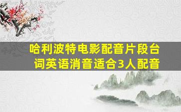 哈利波特电影配音片段台词英语消音适合3人配音