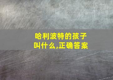 哈利波特的孩子叫什么,正确答案