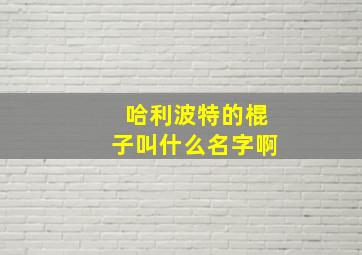 哈利波特的棍子叫什么名字啊