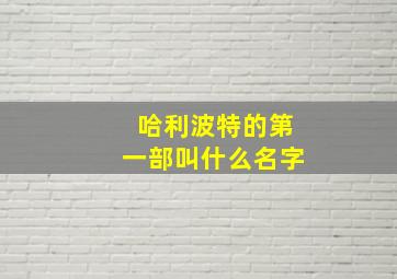 哈利波特的第一部叫什么名字