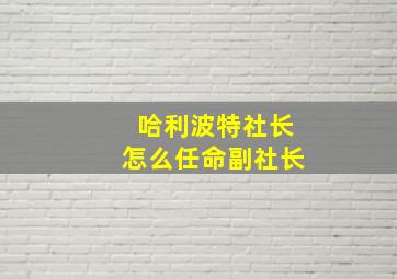 哈利波特社长怎么任命副社长