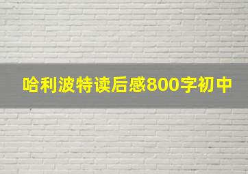 哈利波特读后感800字初中