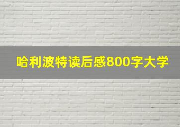 哈利波特读后感800字大学