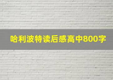 哈利波特读后感高中800字