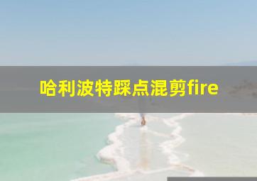 哈利波特踩点混剪fire