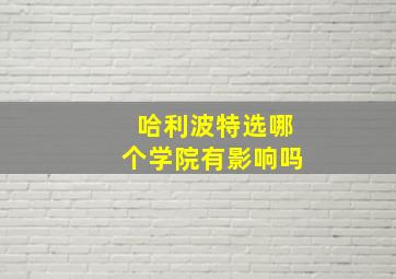 哈利波特选哪个学院有影响吗