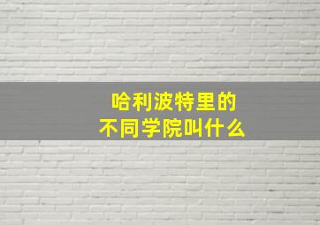 哈利波特里的不同学院叫什么