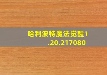 哈利波特魔法觉醒1.20.217080