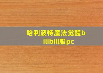 哈利波特魔法觉醒bilibili服pc