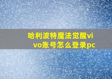 哈利波特魔法觉醒vivo账号怎么登录pc