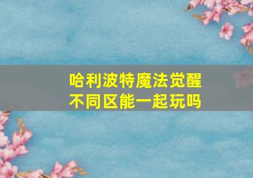 哈利波特魔法觉醒不同区能一起玩吗